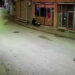 Ordu'da skuterlı çocuk köpeklerin saldırısına uğradı; o anlar kamerada