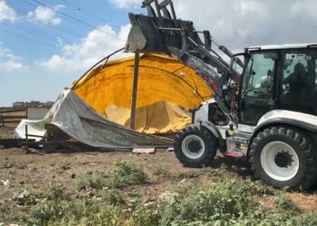 Avcılar'da kaçak ahır kümes ve barakalar belediye ekipleri tarafından yıkıldı