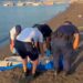Marmaris'te denizde erkek cesedi bulundu