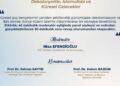 Ankara'da '5'inci Uluslararası Critical Muslim Studies Konferansı'