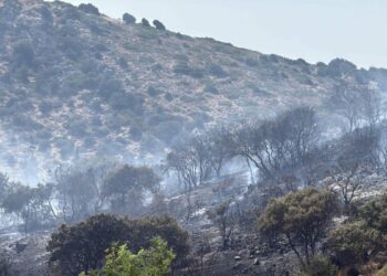 Bodrum'da makilik alanda çıkan yangın kontrol altında