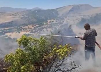 Erzincan'da arazide çıkan yangın büyümeden söndürüldü