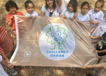 267 okula 'Orman bayrağı'; İstanbul ilk sırada