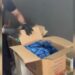 Kadıköy'de depoya düzenlenen operasyonda yaklaşık 2 kilogram uyuşturucu ele geçirildi