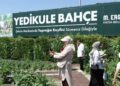 Yedikule Bahçe’de çocuklar meyve ve sebze hasadı yaptı
