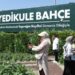 Yedikule Bahçe’de çocuklar meyve ve sebze hasadı yaptı