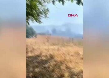 Bahçe'de 2 hektarlık alanda etkili olan yangın söndürüldü