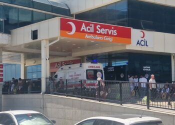 Arazi anlaşmazlığı nedeniyle tartıştığı akrabasını tüfekle vurdu