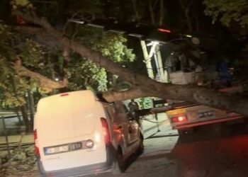 Sancaktepe’de fırtına nedeniyle ağaç hafif ticari aracın üzerine devrildi