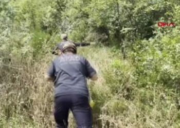 Manzara seyrederken duvardan düşen kadın, yardımına gelen polisten kaçtı