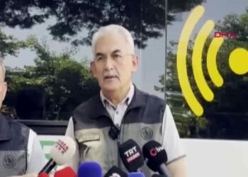 Orman Genel Müdürü Karacabey: 350 hektarlık alan yangından etkilendi