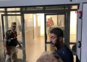 Gülistan Doku soruşturmasında Ankara'da 2 kişi gözaltına alındı