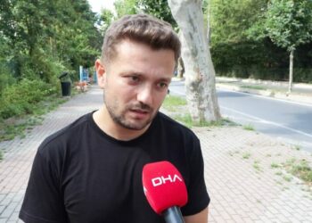 Beşiktaş'taki tarihi ağaçlara 'Çınar kanseri'ne karşı koruma çalışması: İlaçla tedavi yöntemi mümkün değil /Tekrar