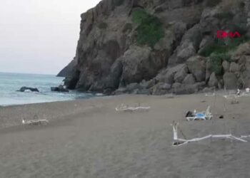 Yerleşik yabancılar deniz kaplumbağalarının gönüllü koruyucusu oldu