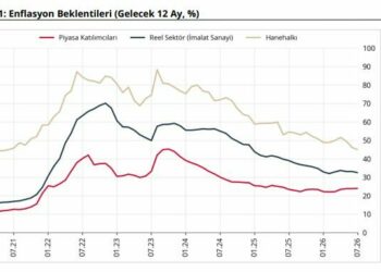 TCMB: Enflasyon beklentileri piyasa katılımcıları için arttı, reel sektör ve hanehalkı için azaldı