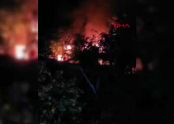 Osmaniye'de yayla evi yandı