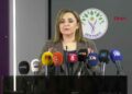 DEM Parti'li Doğan: Çerçeve yasa taslağı hazırlıkları için son aşamadayız