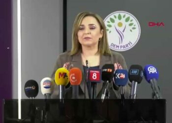 DEM Parti'li Doğan: Çerçeve yasa taslağı hazırlıkları için son aşamadayız