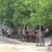 Köylerinde su olmadığı için başka köylerde domates yetiştiriyorlar