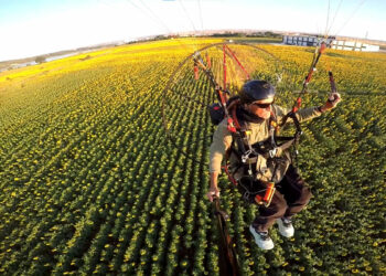 Edirne'nin 'sarı gelin'i ayçiçeği tarlaları üzerinde paramotorla uçtu