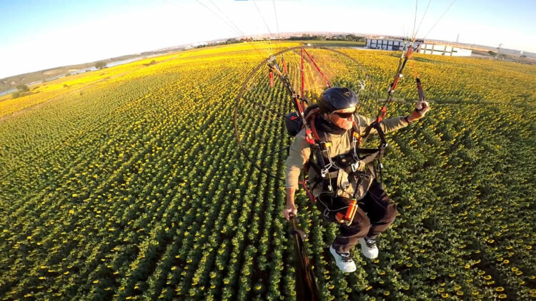 Edirne'nin 'sarı gelin'i ayçiçeği tarlaları üzerinde paramotorla uçtu