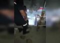 Evin bodrumuna giren yılan itfaiye tarafından yakalandı