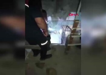 Evin bodrumuna giren yılan itfaiye tarafından yakalandı