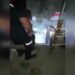 Evin bodrumuna giren yılan itfaiye tarafından yakalandı