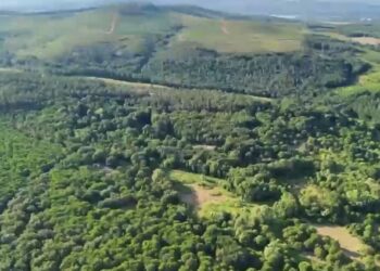 Sultanbeyli’de dron destekli orman denetimi; 513 kişiye 1,9 milyon lira ceza