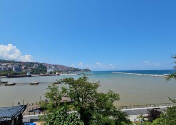 Zonguldak'ta deniz çamur rengine döndü