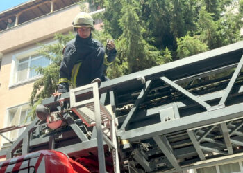 Avcılar'da balkonda mahsur kalan güvercini itfaiye kurtardı
