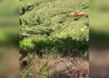 Antalya'da kamyonet uçuruma yuvarlandı: Aynı aileden 5 ölü, 2 yaralı