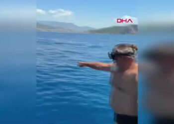 Çuvala dolanan deniz kaplumbağası kurtarıldı