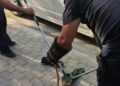 Park halindeki minibüsün motor kısmına giren yılanı itfaiyeciler çıkarıldı