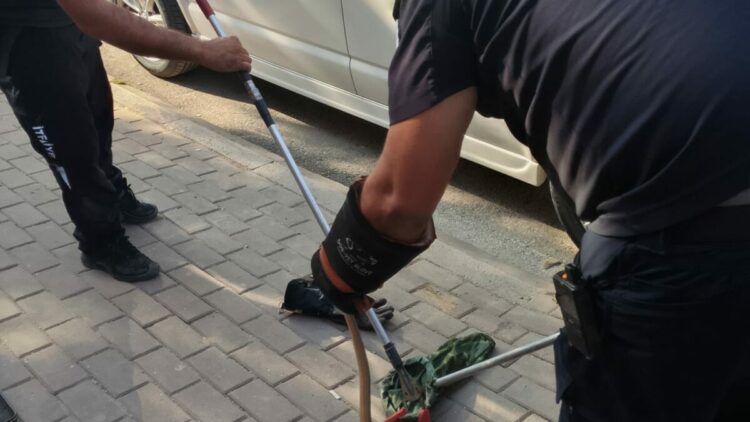 Park halindeki minibüsün motor kısmına giren yılanı itfaiyeciler çıkarıldı
