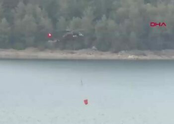 Adana’da orman yangınına havadan ve karadan müdahale