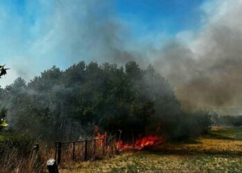 Çanakkale'de ot yangını 1 saatte kontrol altına alındı