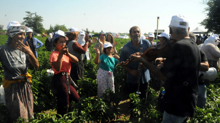 Edirne’nin meşhur Karaağaç acı biberinde, oyun havalarıyla hasat