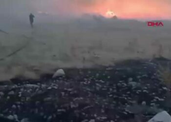 Adıyaman’da orman yangını; söndürme çalışmaları sürüyor -1