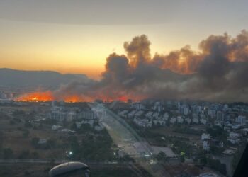 Mersin'de yerleşim yeri yakınında çıkan yangın, büyümeden kontrol alltına alındı