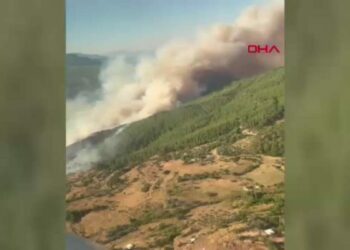 Muğla'da orman yangını