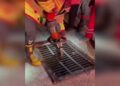 Hatay'da kanalizasyona düşen kedi kurtarıldı