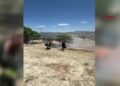 Arazi yangınlarında 19 dekar zarar gördü