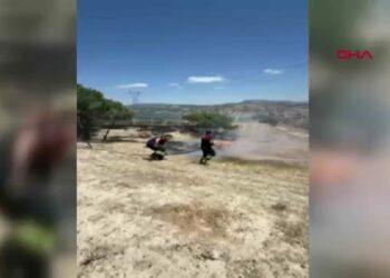 Arazi yangınlarında 19 dekar zarar gördü