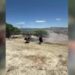 Arazi yangınlarında 19 dekar zarar gördü