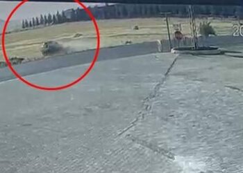 Mardin’de otomobilin takla attığı kaza kamerada