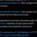 Çanakkale’deki iki yangın kontrol altına alındı