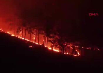 Alanya'da orman yangını: 45 konut tahliye edildi -2 / Dron görüntüleriyle