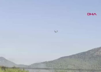 Fethiye'deki orman yangınına müdahale sabahın ilk ışıklarıyla sürüyor