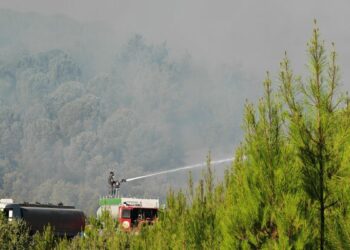 Balıkesir Gömeç'teki yangın 2'nci gününde